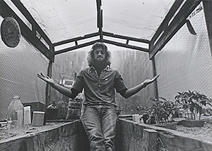 Greenhouse 1978