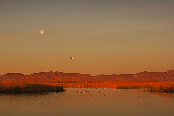 Mittry Lake Sunset