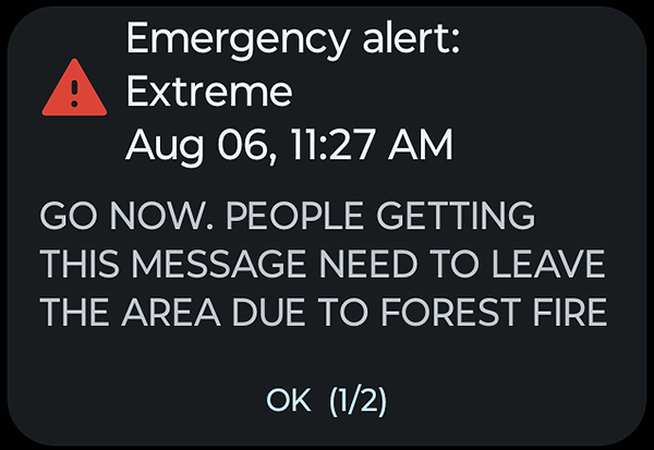 Alert